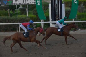 LOVING LADY 29.11.2020_JPG_STK7129