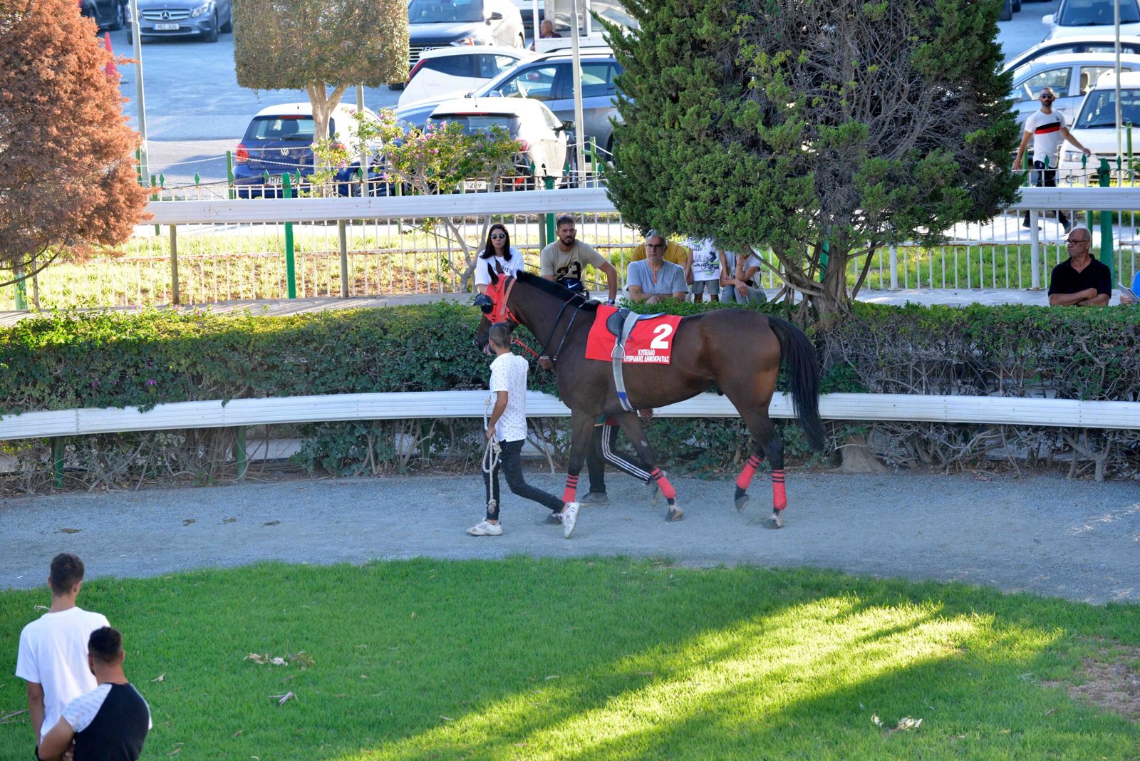 MIKROS ARTEMIS KYP. KYPR. DEMOKR. 24 STK3905 scaled