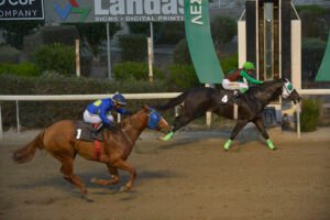 MYRIANTHOS 3.12.23_STK2303