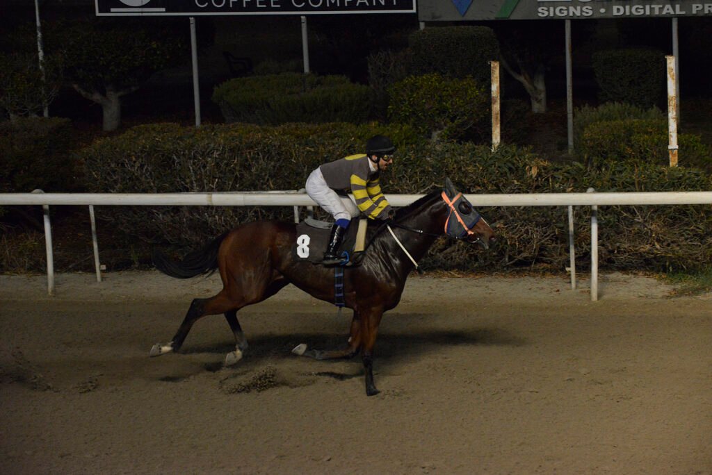 NTOUAL IOANNIS 13.11.24_STK5310