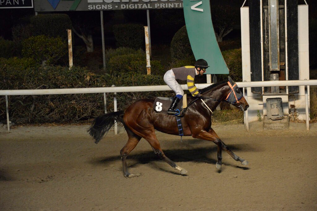 NTOUAL IOANNIS 13.11.24_STK5311