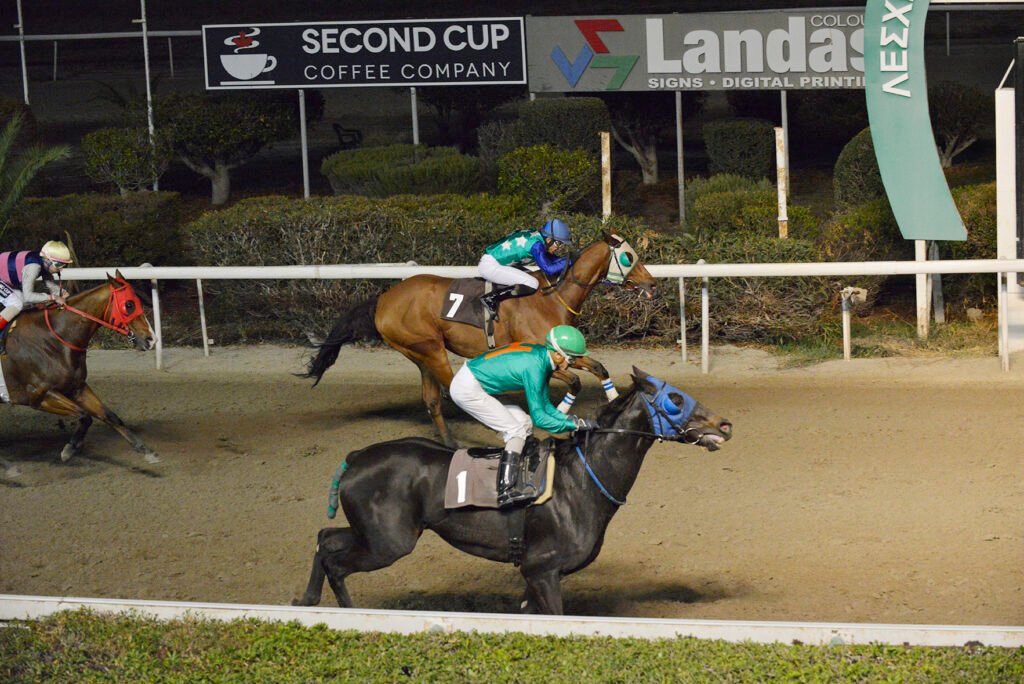 NYCHTOLOULOUDO_STK5368