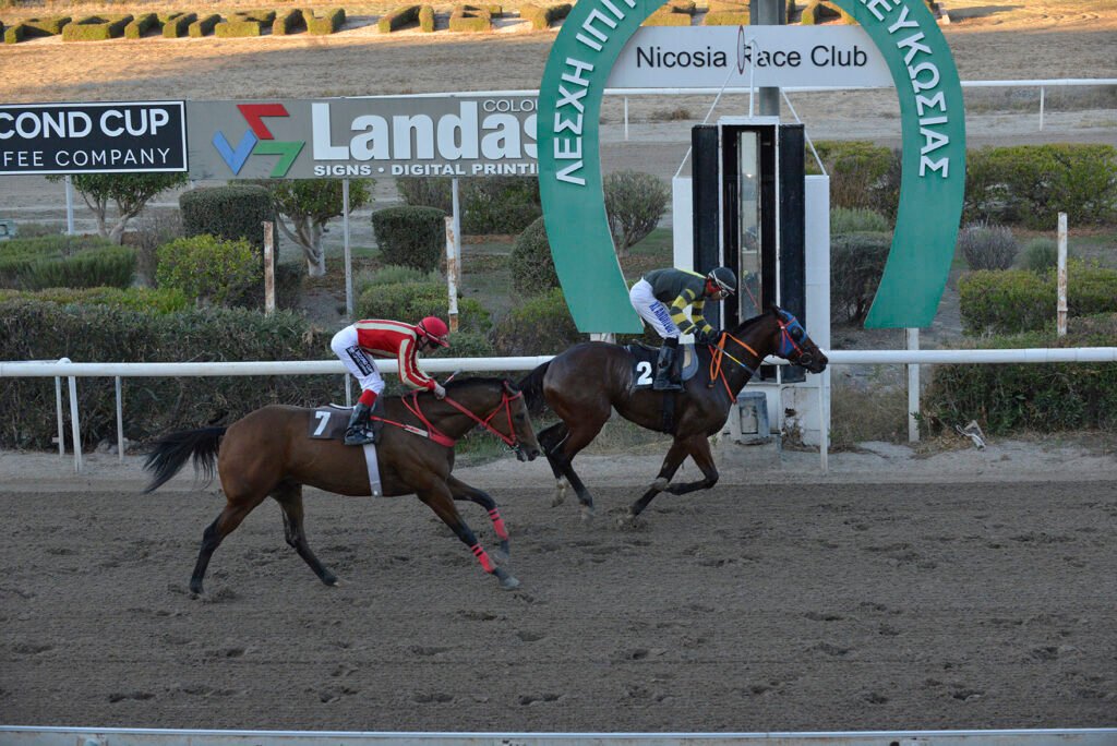 PLOUTARCHOS 13.11.24_STK5260