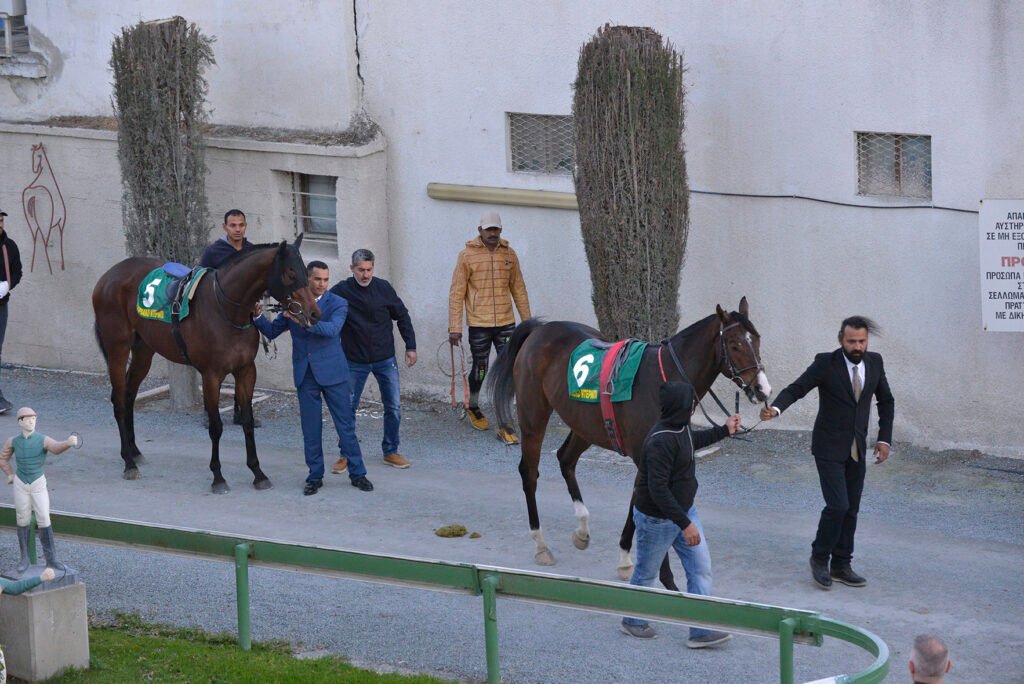 PSILOS – DERBY 24.11.24_STK5666