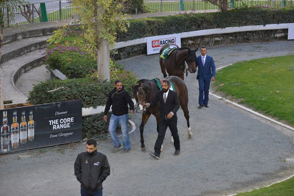 PSILOS – DERBY 24.11.24_STK5672