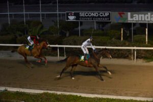 PSILOS – DERBY 24.11.24_STK5681