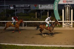 PSILOS – DERBY 24.11.24_STK5682