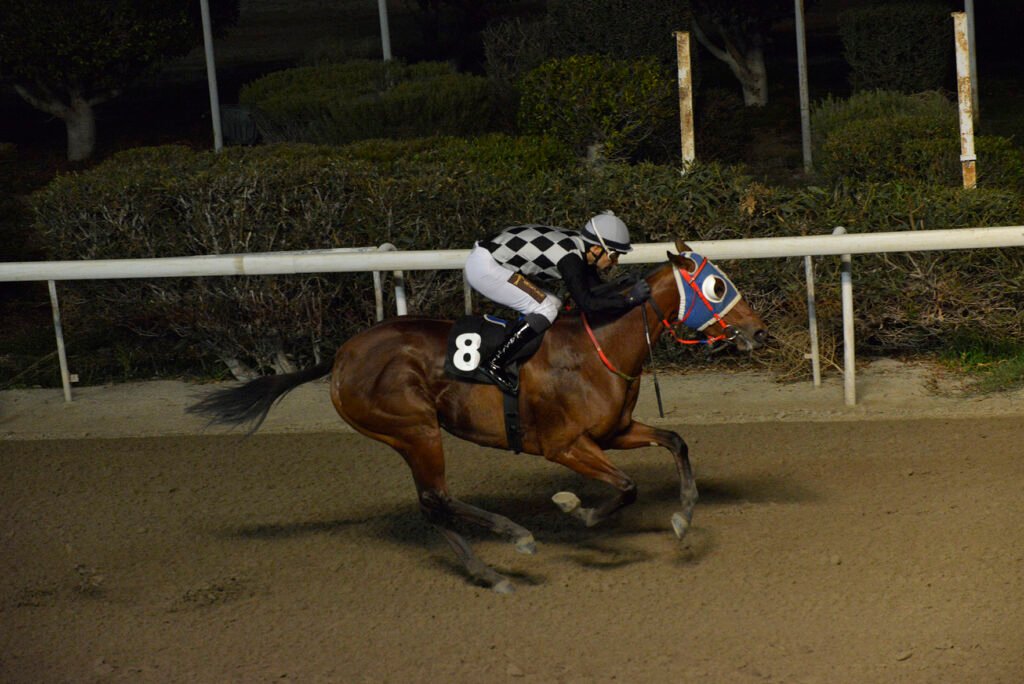 RUBY GALATIA_STK5817