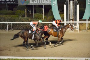 STORMY VICTOR_STK5387