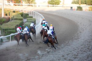 STROFI 1 – 13102019