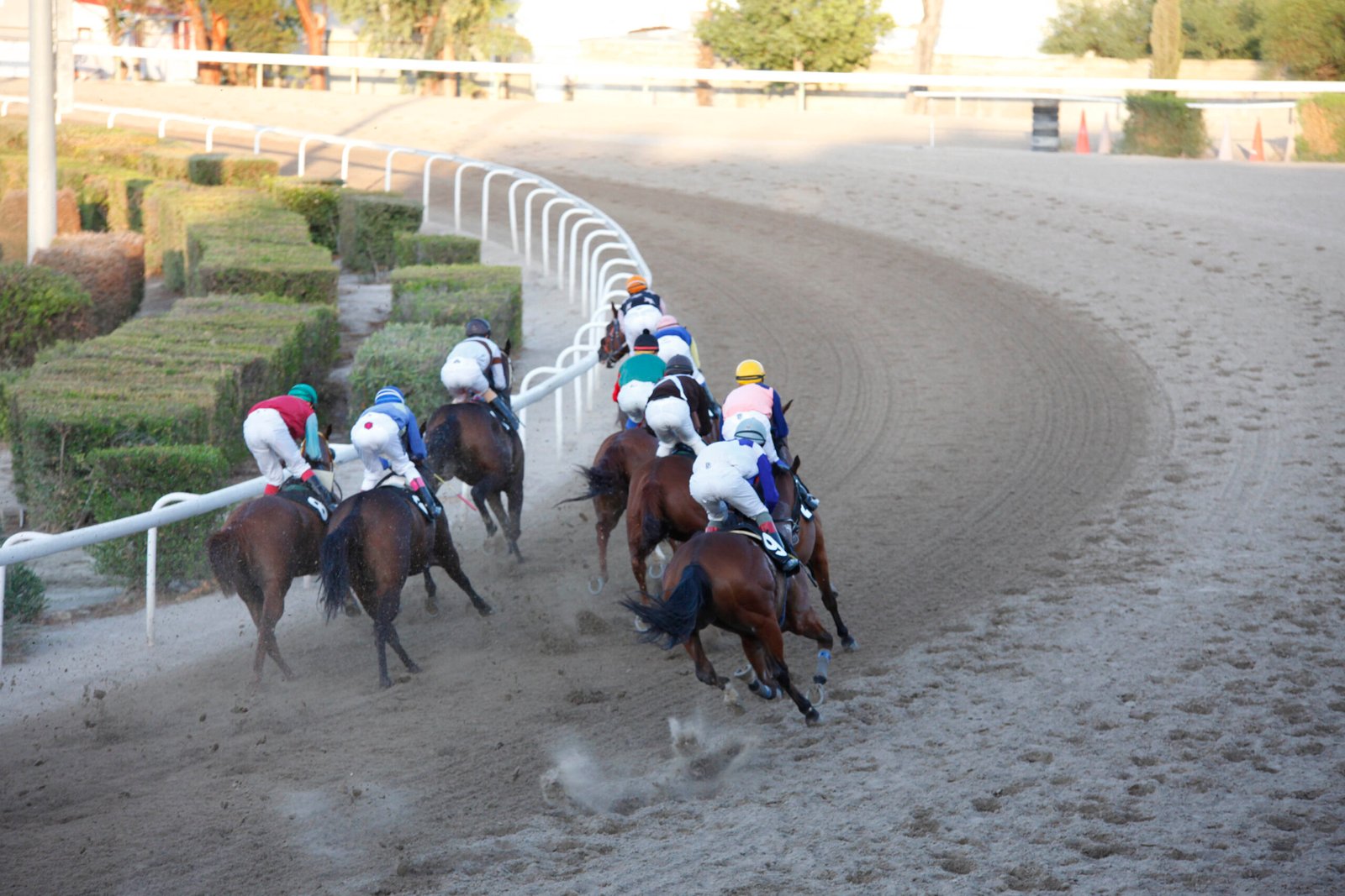 STROFI 1 – 13102019