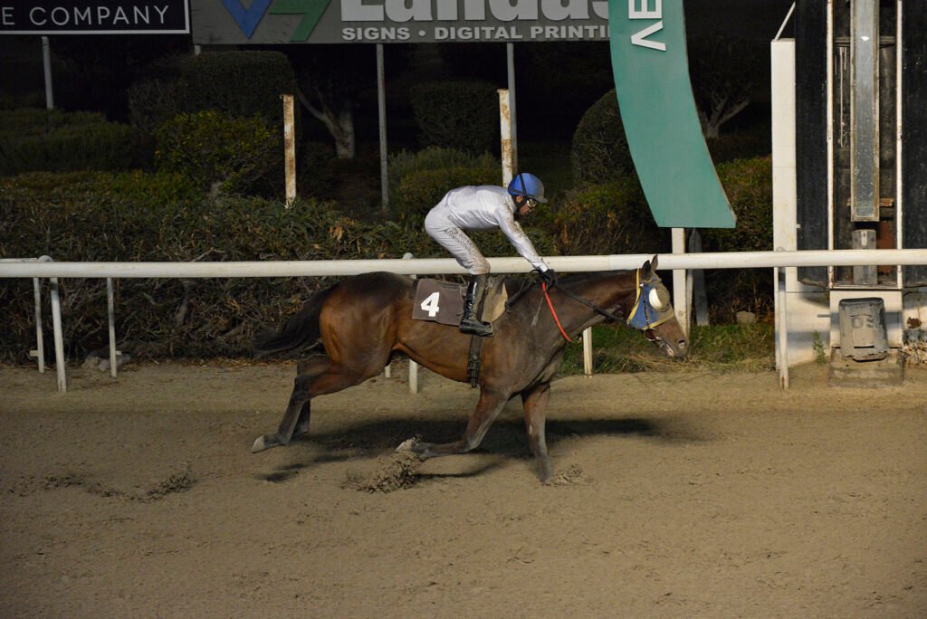 TSERKOTIS PSYLLOS_STK5526