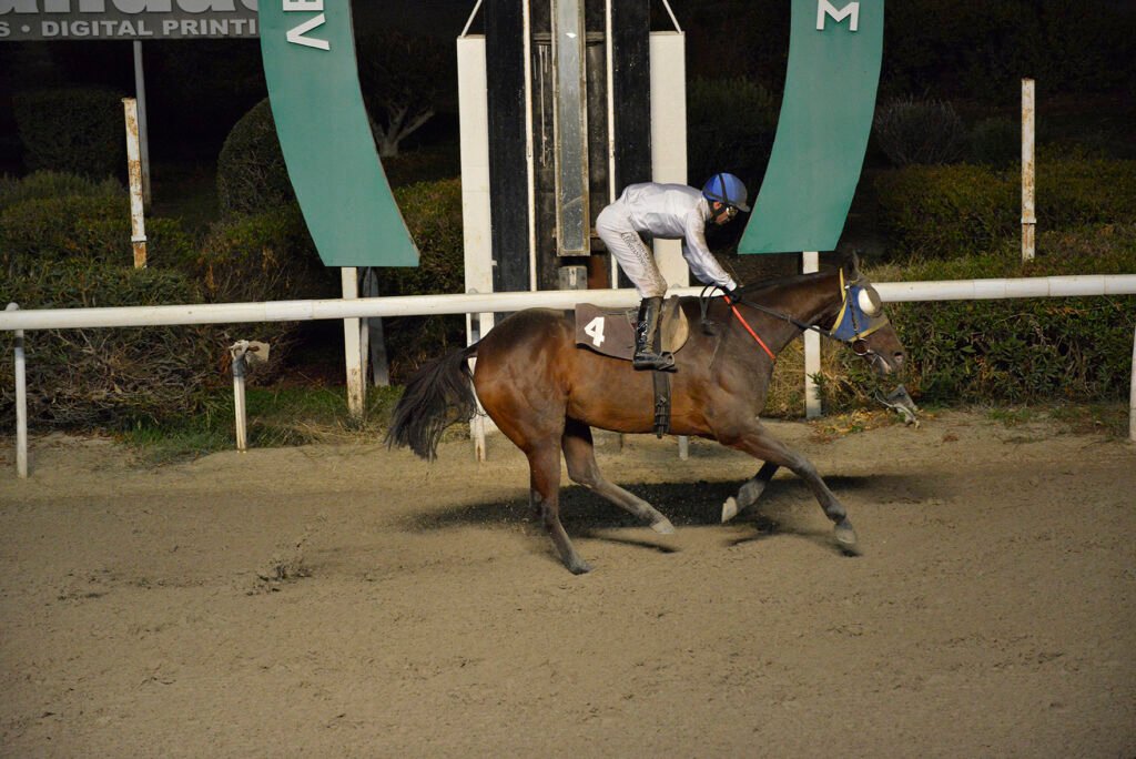 TSERKOTIS PSYLLOS_STK5527