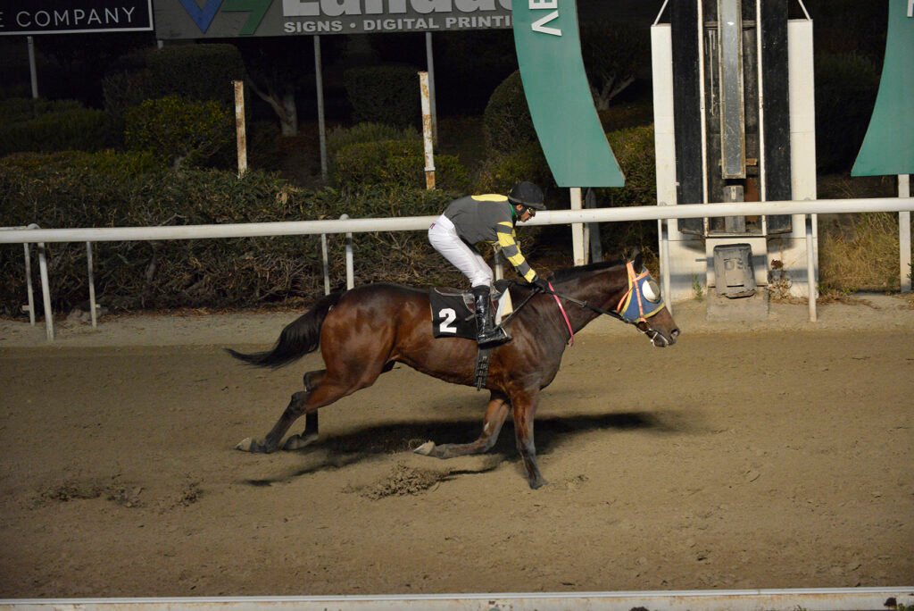 TSERKOTIS PSΙLLOS_STK5241