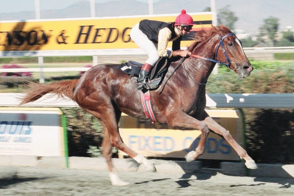 web QUEEN KLEOPATRA ΚΥΠΕΛΛΟ ΟΟΥΚΣ