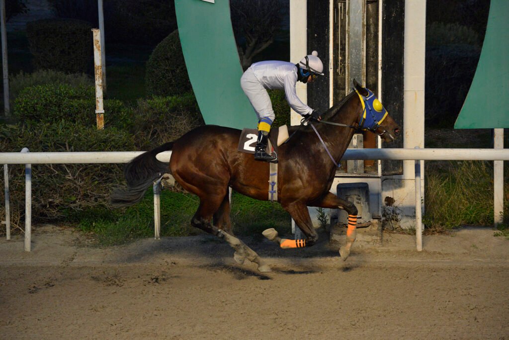 ALMYROS 22.12.24_STK6585