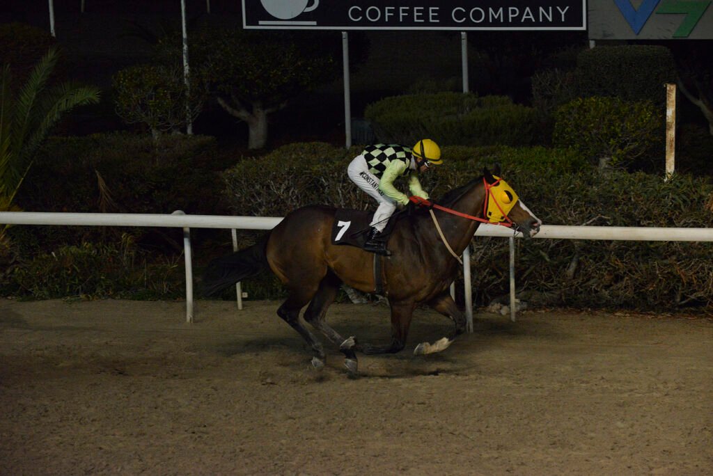 ALVARO 4.12.24_STK6080