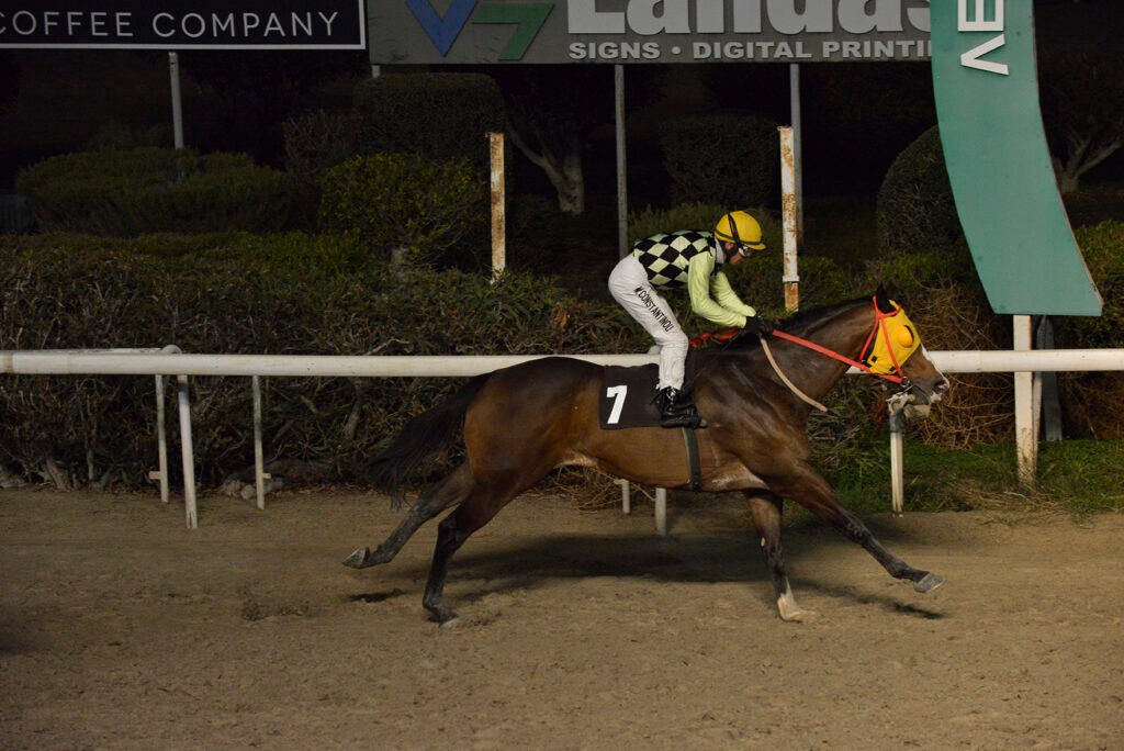 ALVARO 4.12.24_STK6081