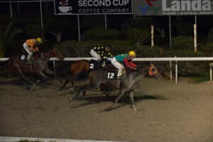 BOB MY BRO 4.12.24_STK6127