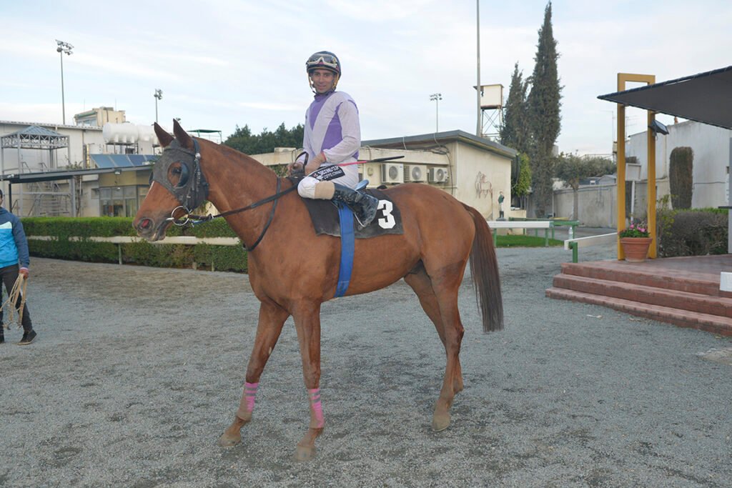 DRACO MALFOY 22.12.24_STK6583