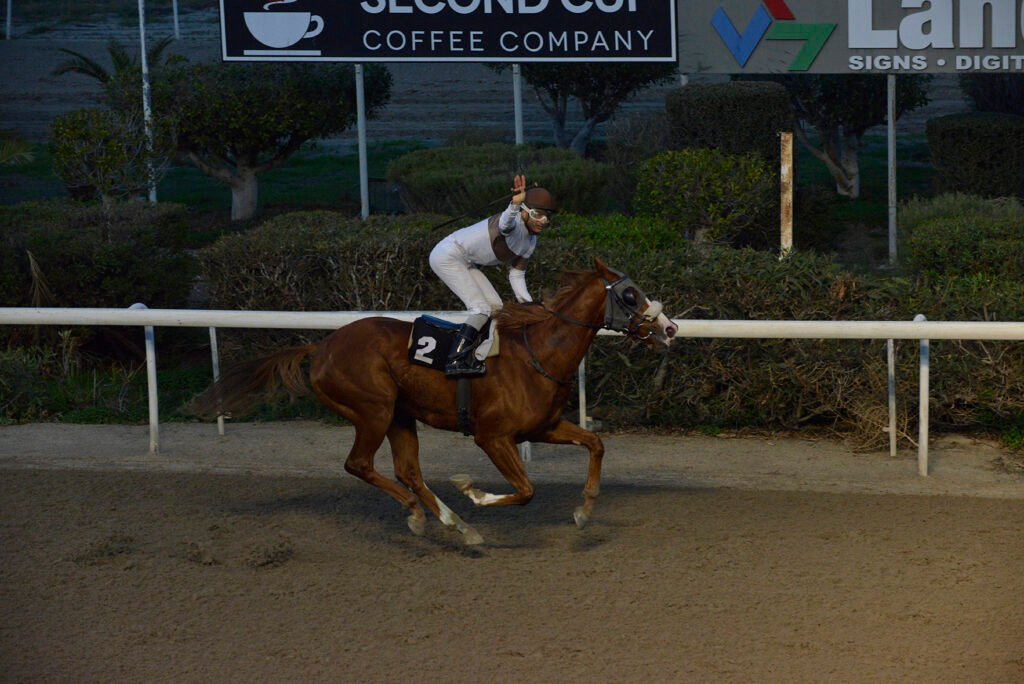 ELIKONAS – KYP. IAK_STK6175