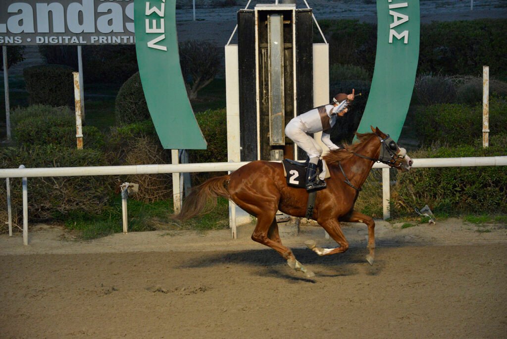 ELIKONAS – KYP. IAK_STK6177