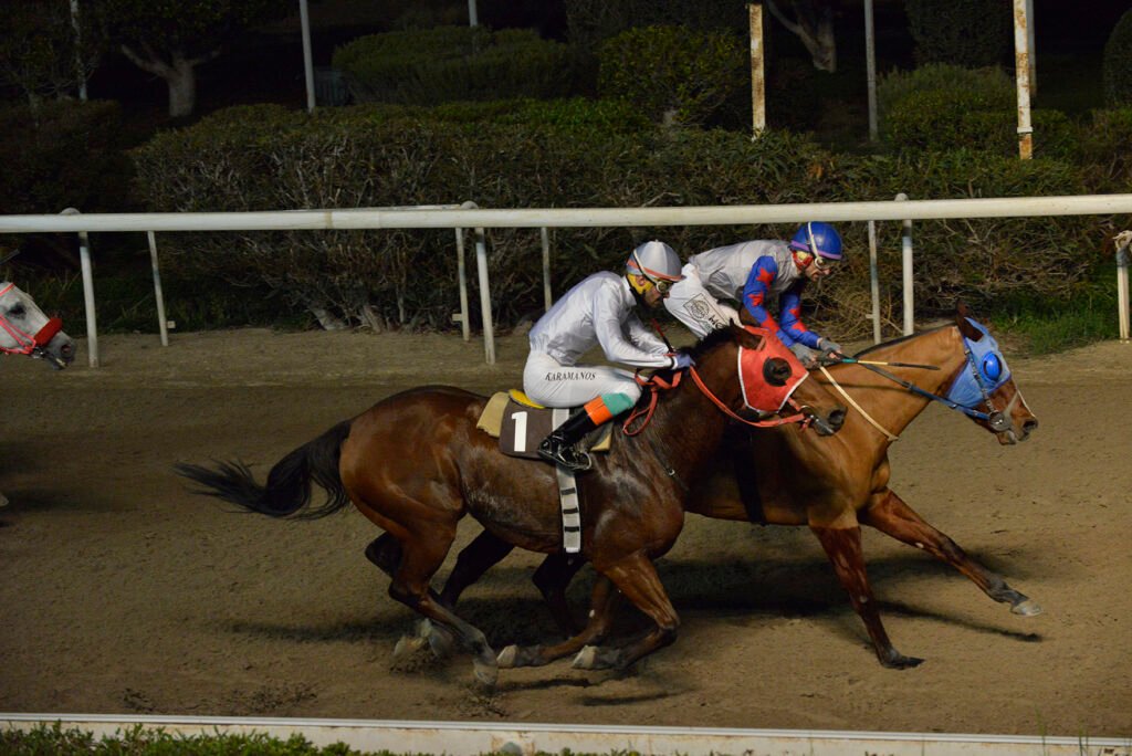 ELISAVET MANJIPA_STK6300