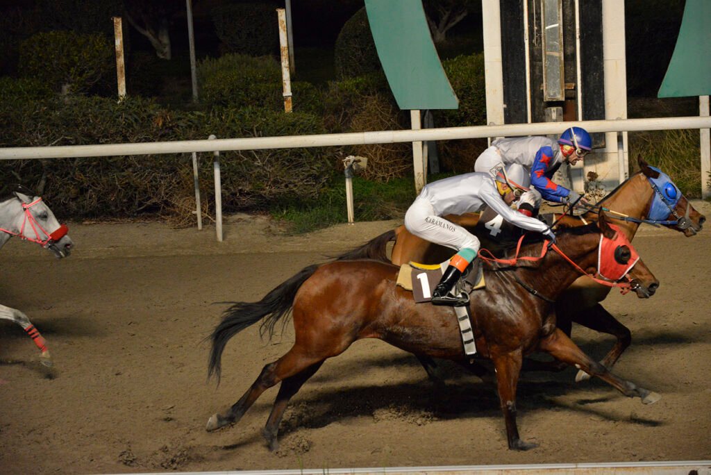 ELISAVET MANJIPA_STK6301