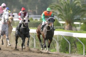 FORZA CLAUDIO 6-020105