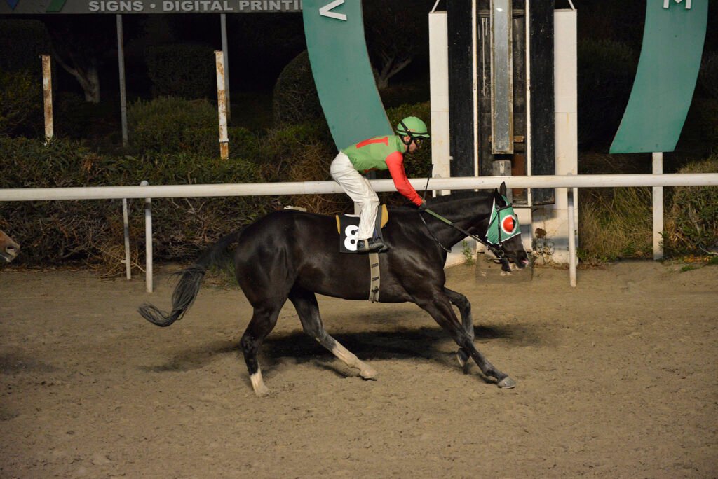 FYTOS ANGEL 4.12.24_STK6110