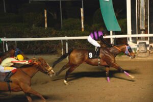 GEORGE THE FARRIER_STK6438