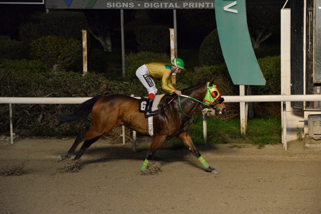 GIORKATSOS 22.12.24_STK6592