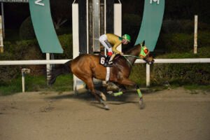 GIORKATSOS 22.12.24_STK6593