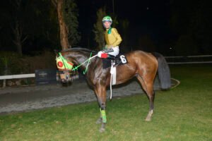 GIORKATSOS 22.12.24_STK6610