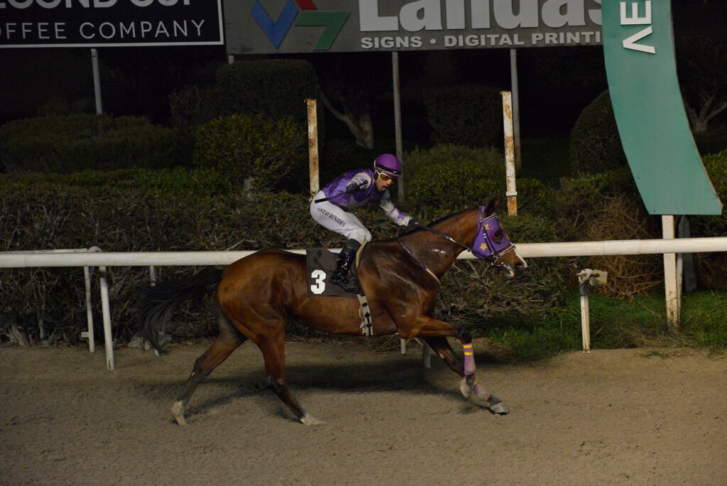 GLORIOUS DESTINY_STK6518