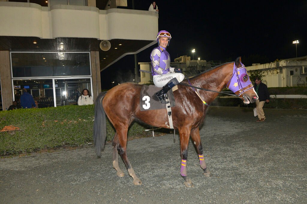 GLORIOUS DESTINY_STK6530