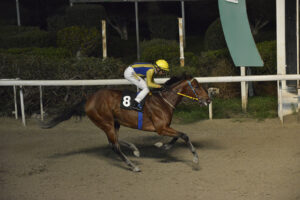 GOUIMPOUM_STK6543