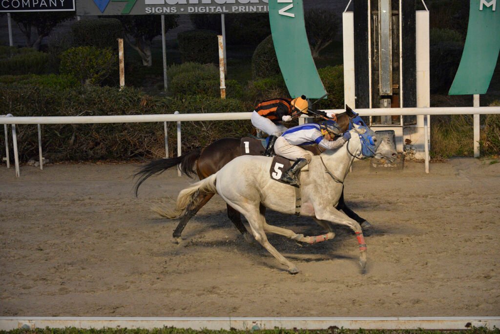 GREYPAL 4.12.24_STK6032