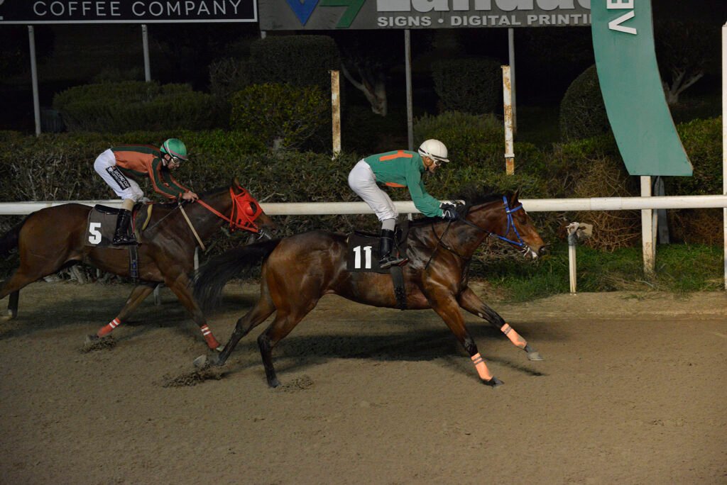 HAWAII OPPORTUNITY_STK6347