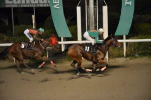 HAWAII OPPORTUNITY_STK6348