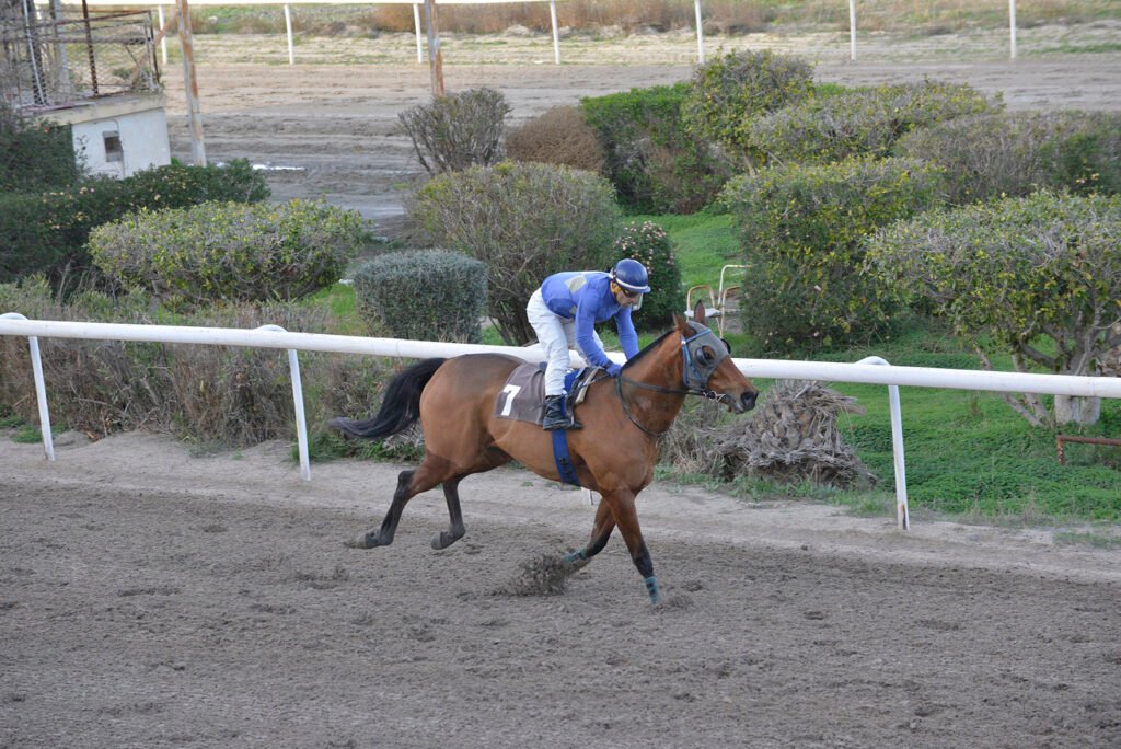 KARAMPINA 22.12.24_STK6562