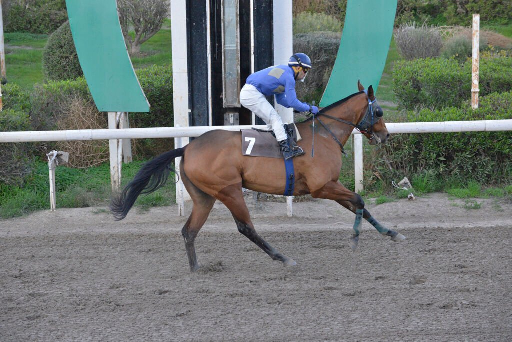 KARAMPINA 22.12.24_STK6564