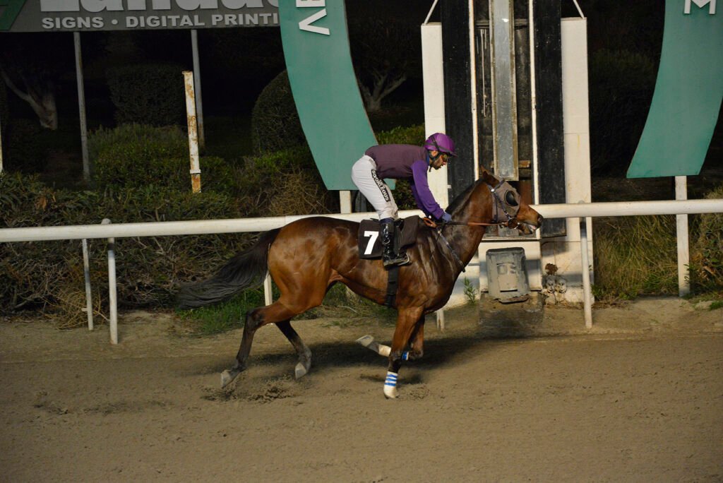 KOUROUKLARENA_STK6339