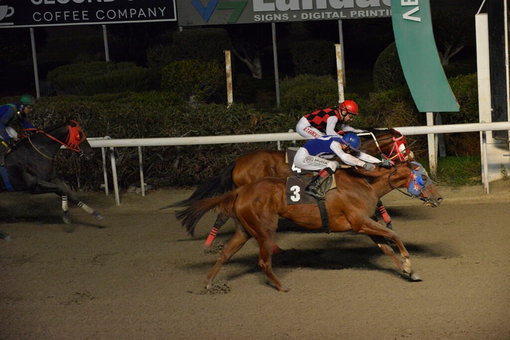 LADY PINELOPI_STK6218