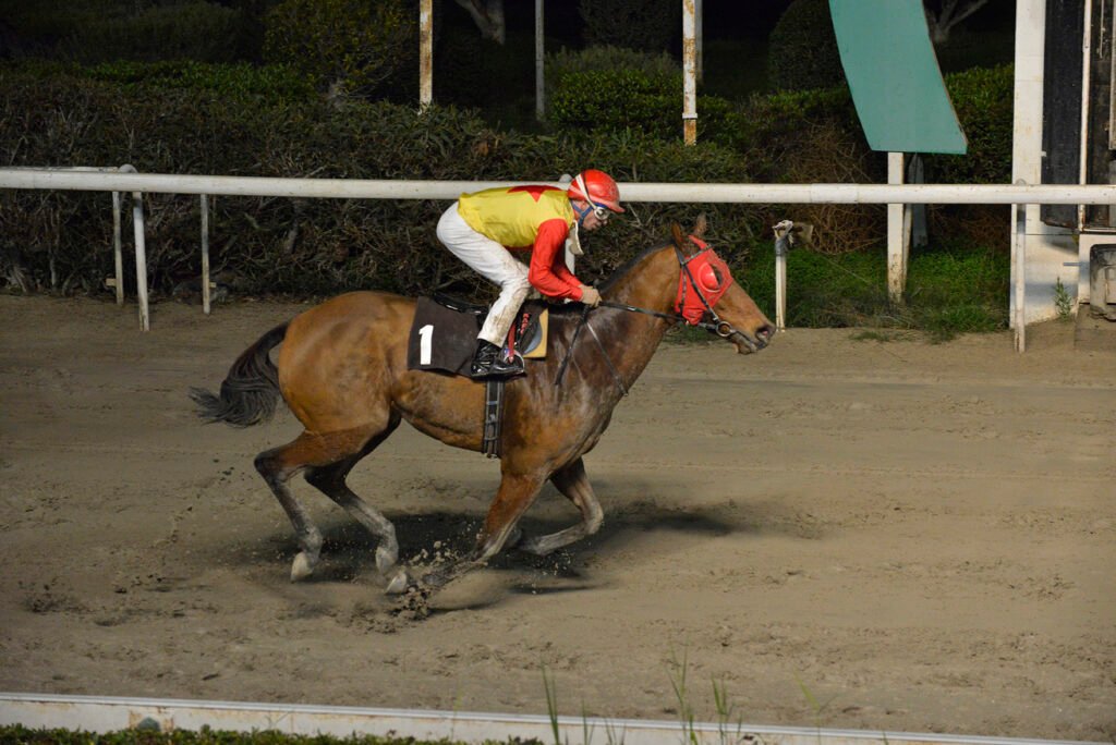 MANTIS TIRESIAS_STK6764