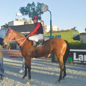 MARKONI – PRAT. KOURIOU 24.11 web