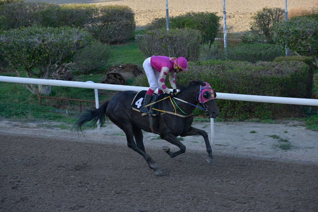 MAVRI KALLONI_STK6143