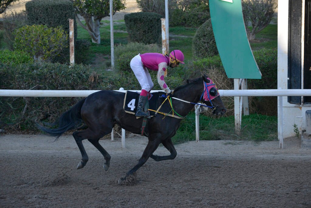 MAVRI KALLONI_STK6144