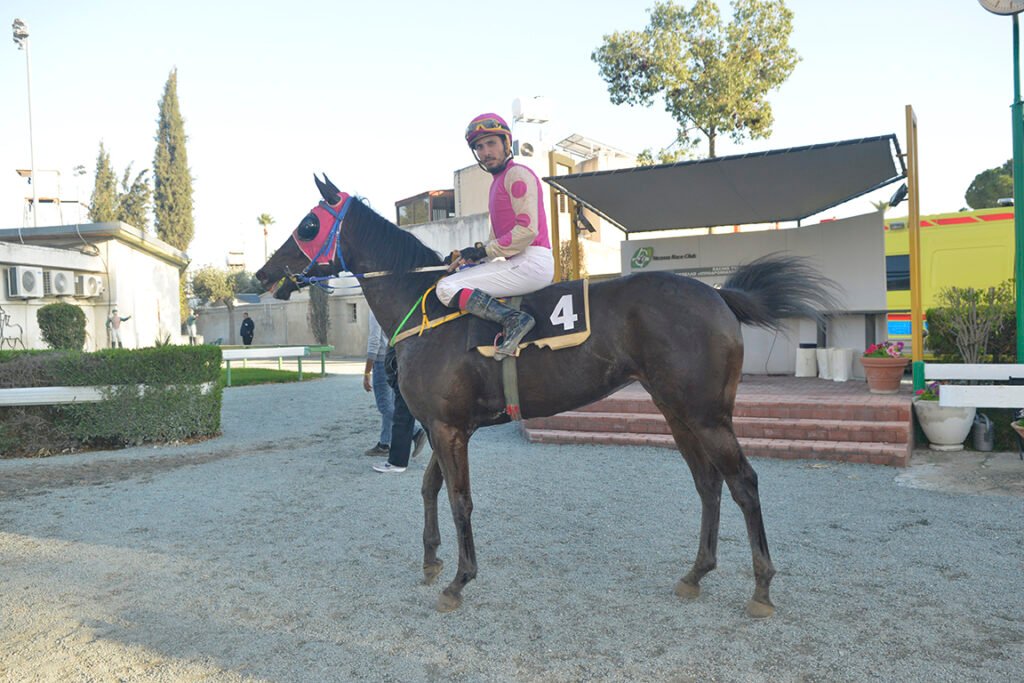 MAVRI KALLONI_STK6153