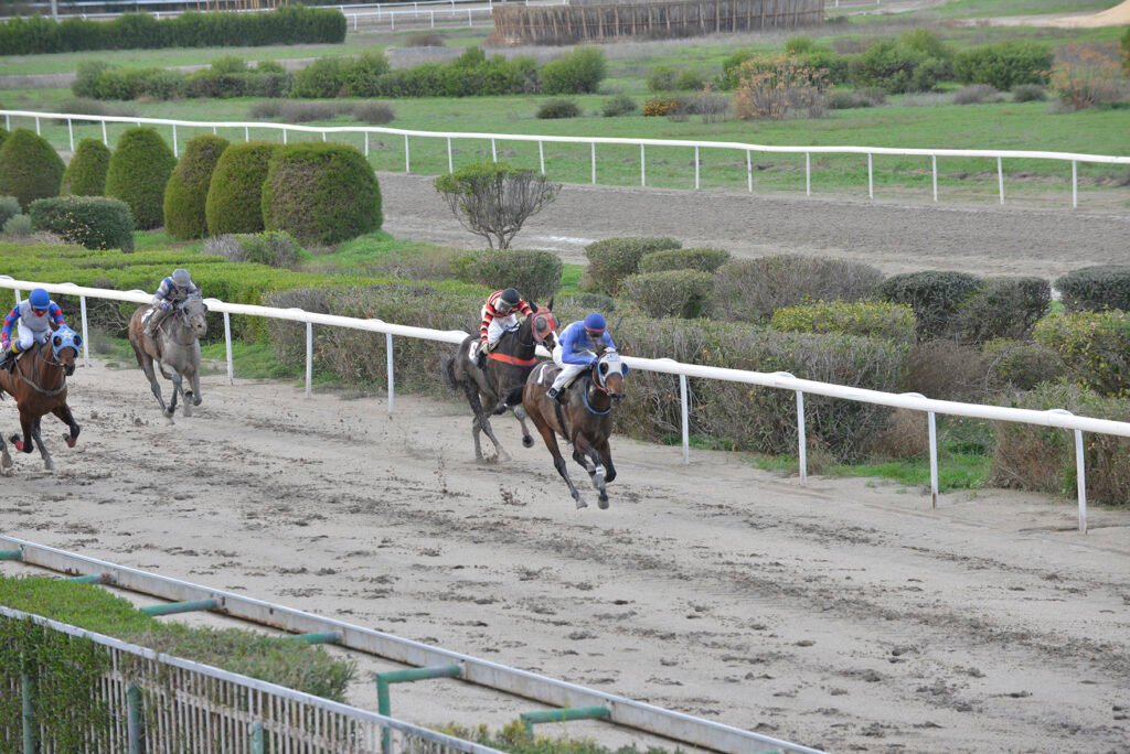 MISS TRACHONITISA_STK6664